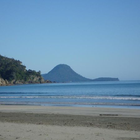 Beachfront Bliss Ohope エクステリア 写真