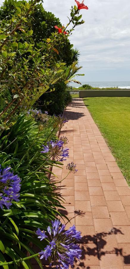 Beachfront Bliss Ohope エクステリア 写真