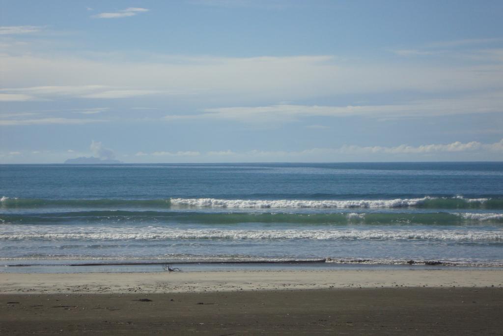 Beachfront Bliss Ohope エクステリア 写真